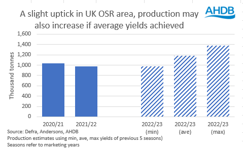 Oilseeds production projections